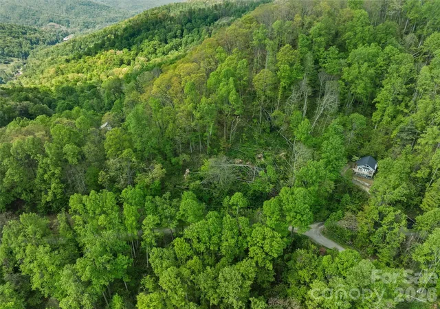 4th image of Tbd Jacks Knob Rd #49, Barnardsville, NC 28709 | MLS# 4374578