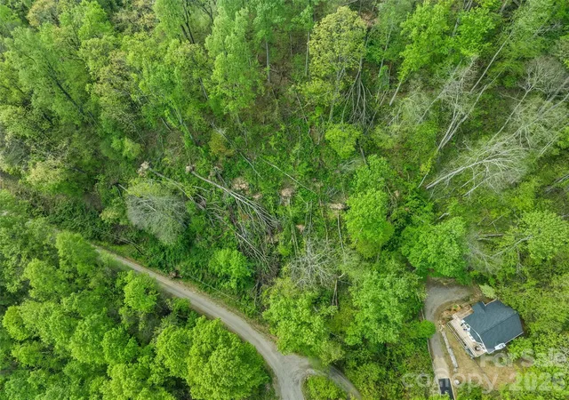 5th image of Tbd Jacks Knob Rd #49, Barnardsville, NC 28709 | MLS# 4374578
