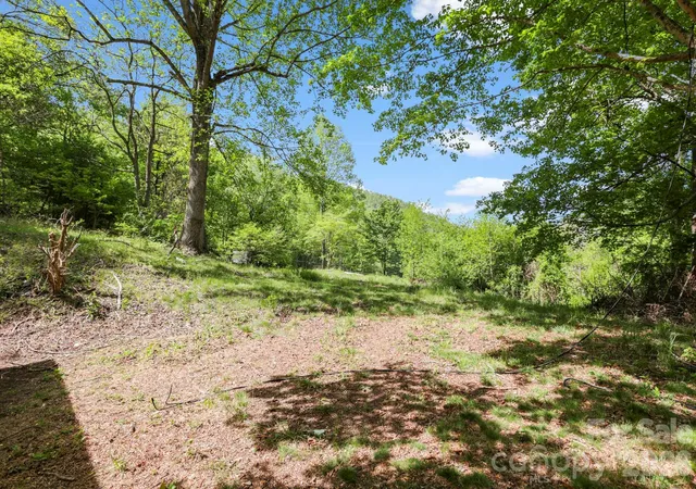 2nd image of 1007 N Fork Rd, Barnardsville, NC 28709 | MLS# 4374690