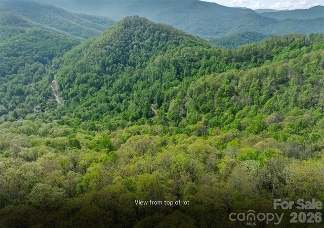 15th image of 21 Reillys Bluff Rd #1, Barnardsville, NC 28709 | MLS# 4374728