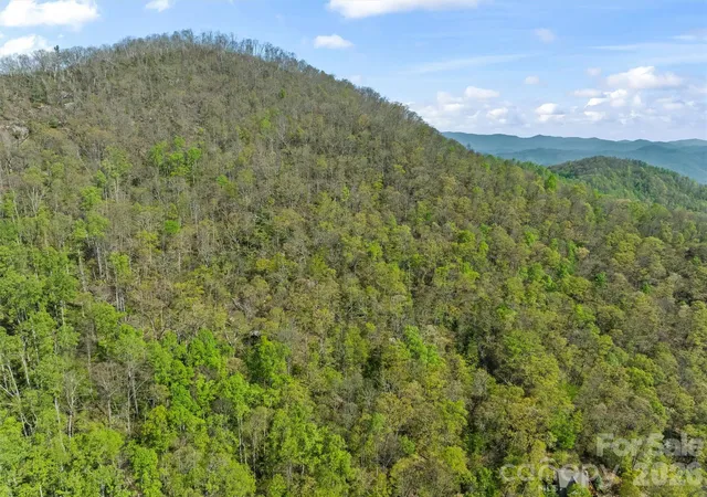 Photo 4 of Land for sale at 21 Reillys Blf Rd #1, Barnardsville, NC 28709 | MLS# 4374728 | Listing updated on 2026-08-28