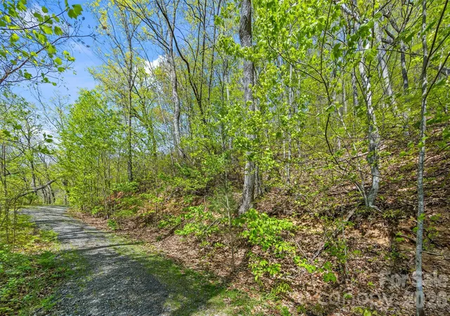 2nd image of 21 Reillys Bluff Rd #1, Barnardsville, NC 28709 | MLS# 4374728