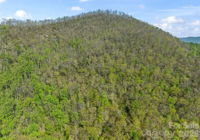 1st image of 21 Reillys Bluff Rd #1, Barnardsville, NC 28709 | MLS# 4374728