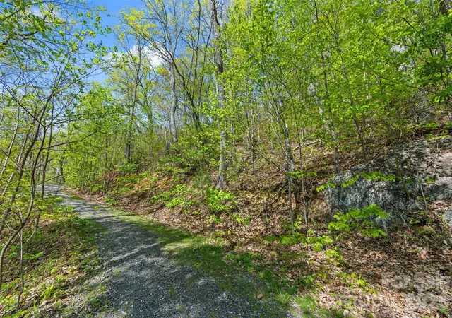 Photo 3 of Land for sale at 21 Reillys Blf Rd #1, Barnardsville, NC 28709 | MLS# 4374728 | Listing updated on 2026-08-28