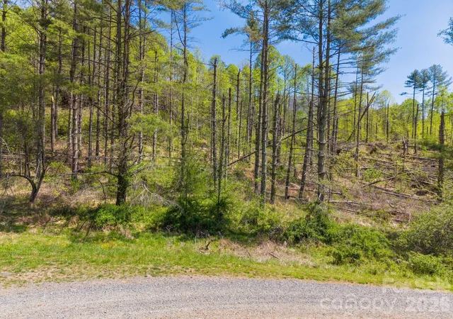 Homes for sale in Bakersville, NC | 00000 White Pine Ln #19, Bakersville, NC 28705 | MLS# 4374774