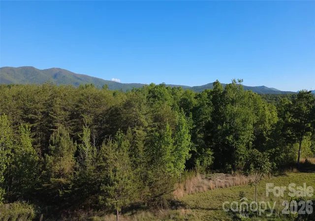 Homes for sale in Nebo, NC | 431 Ridge Point Rd #7, Nebo, NC 28761 | MLS# 4374856