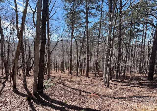 Homes for sale in Bryson City, NC | Lot 55-3 Fontana Loop S, Bryson City, NC 28713 | MLS# 4374992