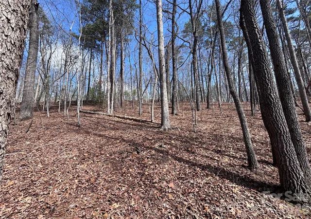 Homes for sale in Bryson City, NC | Lot 55-3 Fontana Loop S, Bryson City, NC 28713 | MLS# 4374992