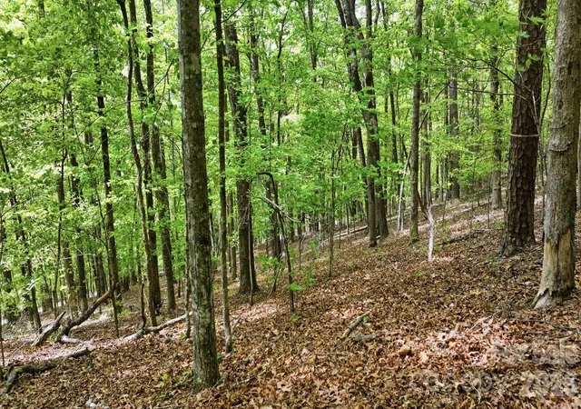 Homes for sale in Bryson City, NC | Lot 55-3 Fontana Loop S, Bryson City, NC 28713 | MLS# 4374992