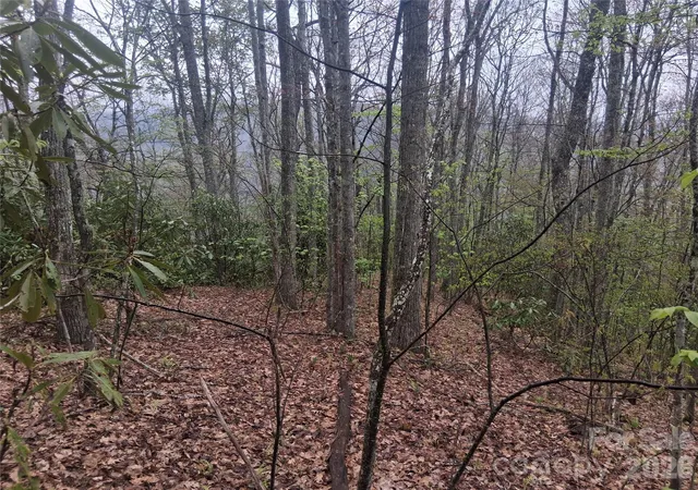 Homes for sale in Maggie Valley, NC | 0000 Bear Creek Rd, Maggie Valley, NC 28721 | MLS# 4375002
