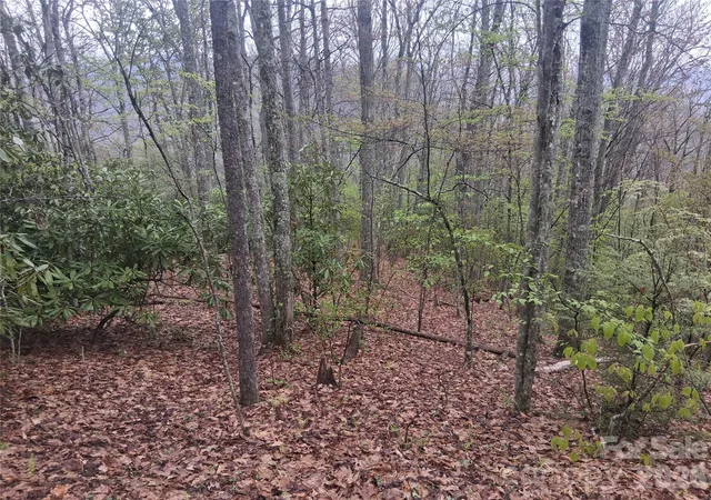 Homes for sale in Maggie Valley, NC | 0000 Bear Creek Rd, Maggie Valley, NC 28721 | MLS# 4375002