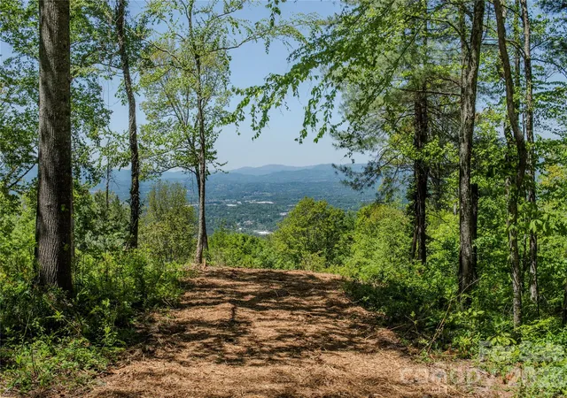 Photo 3 of Land for sale at 700 Elk Mountain Scenic Hwy, Asheville, NC 28804 | MLS# 4375027 | Listing updated on 2026-09-30