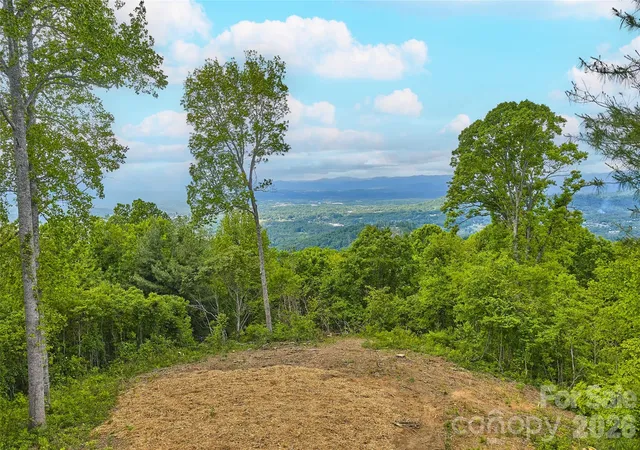 Photo 4 of Land for sale at 700 Elk Mountain Scenic Hwy, Asheville, NC 28804 | MLS# 4375027 | Listing updated on 2026-09-30