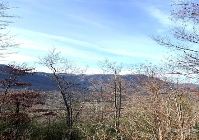 Homes for sale in Marion, NC | Lot 51B Wilderness Dr, Marion, NC 28752 | MLS# 4375109