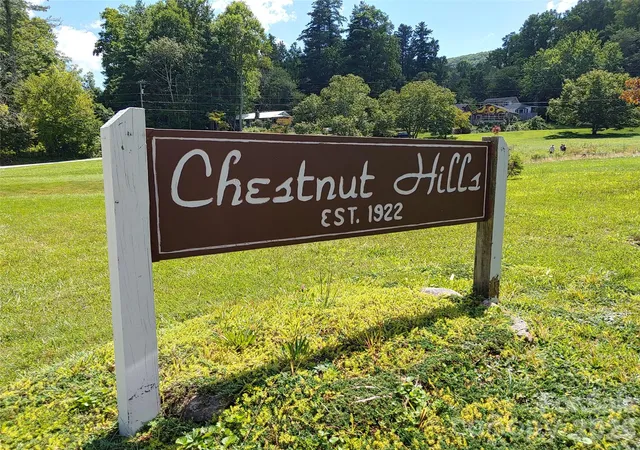 47th image of 72 Chestnut Hill Rd, Gerton, NC 28735 | MLS# 4375202