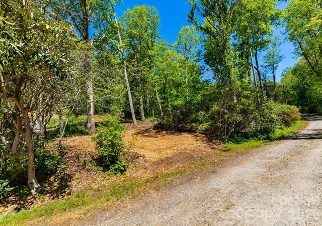 Photo 4 of Land for sale at 99999 Meeks Rd, Black Mountain, NC 28711 | MLS# 4375286 | Listing updated on 2026-09-22