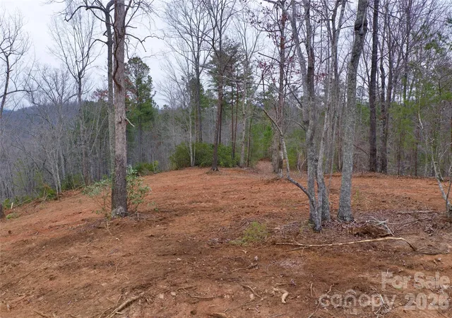 14th image of 1140 Hwy 9 Hwy, Mill Spring, NC 28756 | MLS# 4375287
