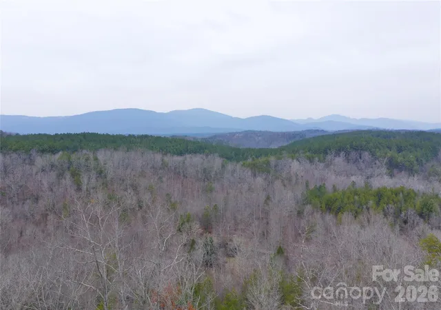 3rd image of 1140 Hwy 9 Hwy, Mill Spring, NC 28756 | MLS# 4375287