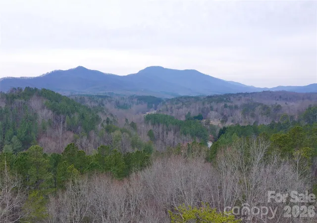 4th image of 1140 Hwy 9 Hwy, Mill Spring, NC 28756 | MLS# 4375287