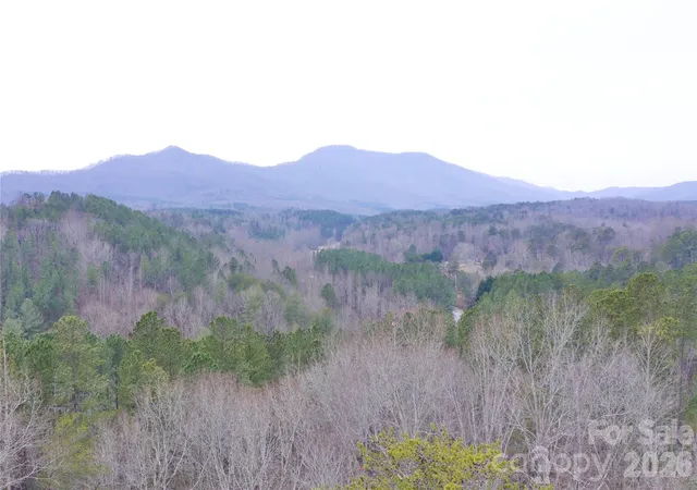 5th image of 1140 Hwy 9 Hwy, Mill Spring, NC 28756 | MLS# 4375287