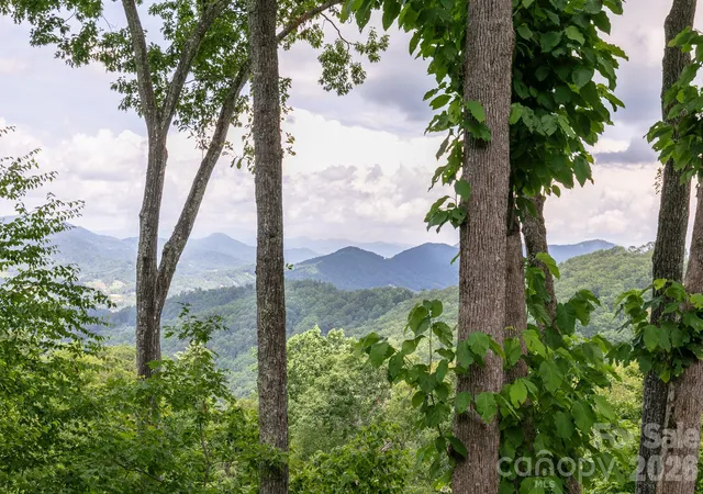 Photo 2 of Single family home for sale at 456 Spring House Dr, Burnsville, NC 28714 | MLS# 4375351 | Listing updated on 2026-08-06