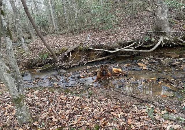 4th image of 00 Eagle Mills Rd, Hamptonville, NC 27020 | MLS# 4375404