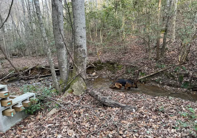 5th image of 00 Eagle Mills Rd, Hamptonville, NC 27020 | MLS# 4375404
