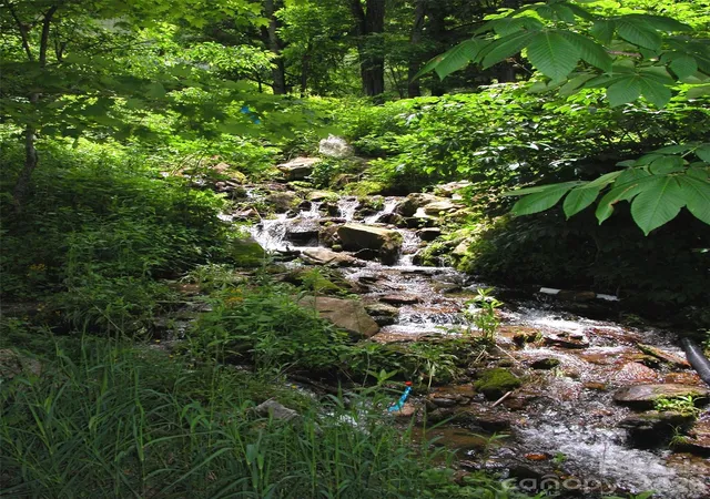 3rd image of 831 Red Bank Rd, Waynesville, NC 28786 | MLS# 4375458