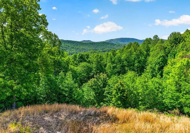 Photo 1 of Land for sale at 51 Falls Ln, Hendersonville, NC 28739 | MLS# 4375469 | Listing updated on 2026-05-12