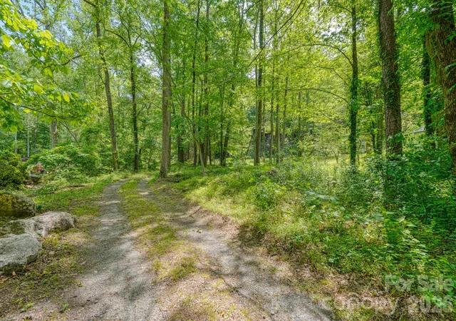 43rd image of 123 Little Rock Wy, Mill Spring, NC 28756 | MLS# 4375558