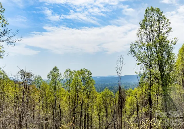 Homes for sale in Hendersonville, NC | 172 Sunny Ridge Rd, Hendersonville, NC 28739 | MLS# 4375597