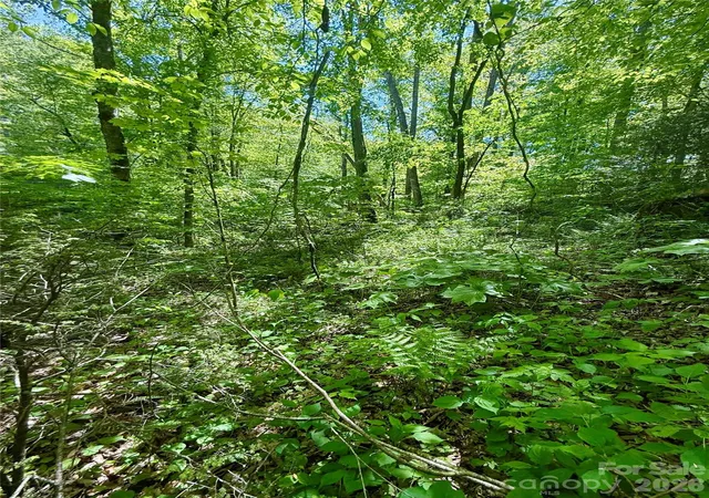 Homes for sale in Glenville, NC | Tbd Hwy 107 N #Lot 1, Glenville, NC 28736 | MLS# 4375618