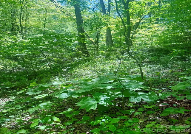 Homes for sale in Glenville, NC | Tbd Hwy 107 N #Lot 1, Glenville, NC 28736 | MLS# 4375618