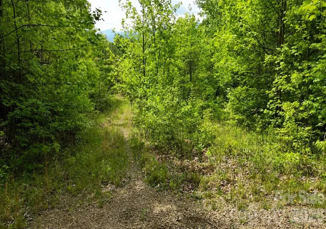 Photo 2 of Land for sale at 99999 Wolverine Ct #53, Waynesville, NC 28785 | MLS# 4375776 | Listing updated on 2026-05-18