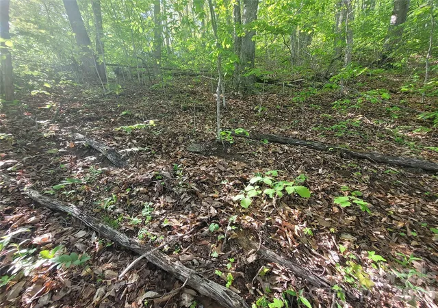 Photo 3 of Land for sale at 99999 Wolverine Ct #53, Waynesville, NC 28785 | MLS# 4375776 | Listing updated on 2026-05-18