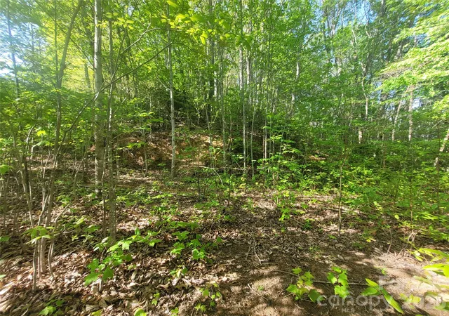Photo 3 of Land for sale at 99999 Wolverine Ct #53, Waynesville, NC 28785 | MLS# 4375776 | Listing updated on 2026-05-18