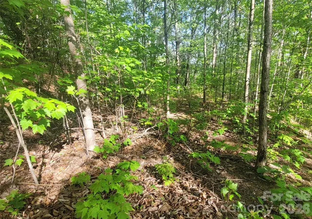 Photo 4 of Land for sale at 99999 Wolverine Ct #53, Waynesville, NC 28785 | MLS# 4375776 | Listing updated on 2026-05-18