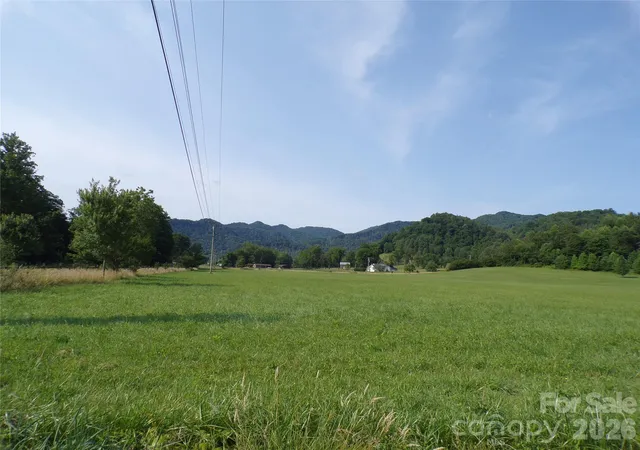 Homes for sale in Hot Springs, NC | 145 Kirk Dr, Hot Springs, NC 28743 | MLS# 4375792