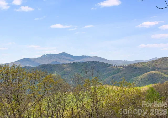 2nd image of 206 Twin Springs Rd, Blowing Rock, NC 28605 | MLS# 4375929