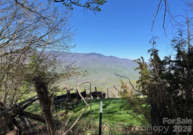 Homes for sale in Sylva, NC | 0 Crackin Chestnut Ln, Sylva, NC 28779 | MLS# 4375975
