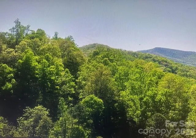 Homes for sale in Sylva, NC | 0 Crackin Chestnut Ln, Sylva, NC 28779 | MLS# 4375975