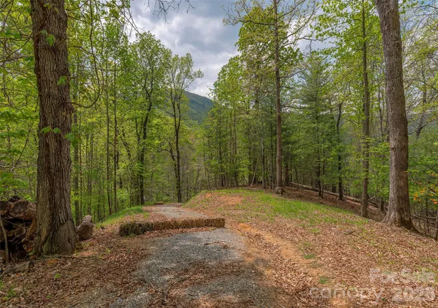 Homes for sale in Cullowhee, NC | 000 Caney Fork Rd, Cullowhee, NC 28723 | MLS# 4376132