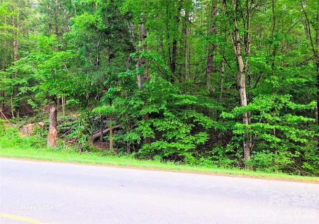 3rd image of Vac Stony Gap Rd, Albemarle, NC 28001 | MLS# 4376190