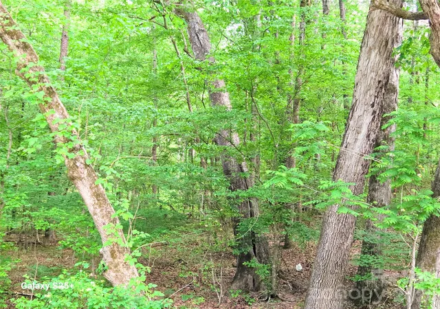 9th image of Vac Stony Gap Rd, Albemarle, NC 28001 | MLS# 4376190