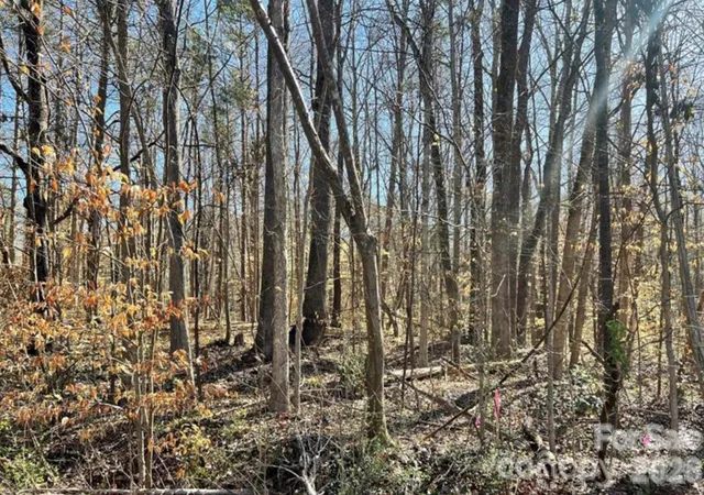 2nd image of 02 Lurecliff Pl, Fort Mill, SC 29708 | MLS# 4376255