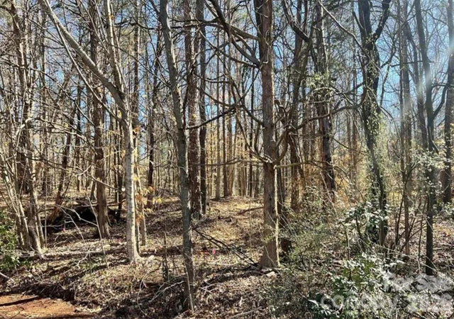 3rd image of 02 Lurecliff Pl, Fort Mill, SC 29708 | MLS# 4376255