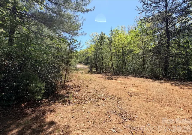 Homes for sale in Purlear, NC | Tbd Staghorn Rd #160 & 161, Purlear, NC 28665 | MLS# 4376271