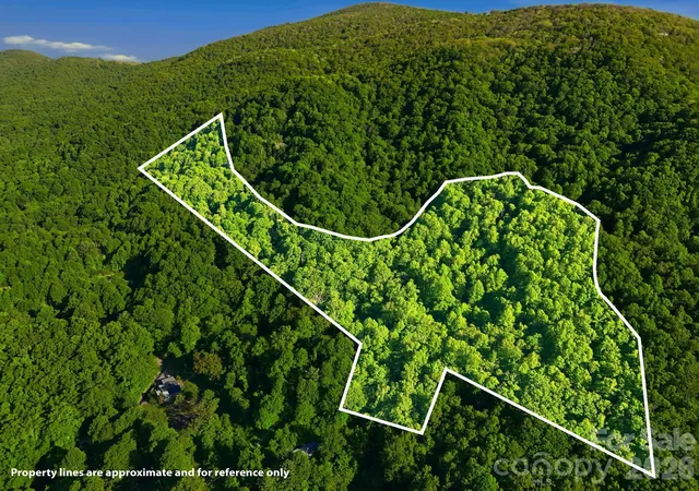 48th image of 98 Sparkling Springs Rd, Fairview, NC 28730 | MLS# 4376359