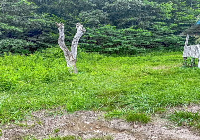 Photo 42 of Land for sale at 3454 Puncheon Frk Rd, Mars Hill, NC 28754 | MLS# 4376430 | Listing updated on 2026-07-24