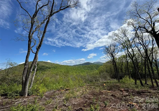 Photo 1 of Land for sale at Tbd E Garden Trl #45, Hendersonville, NC 28792 | MLS# 4376483 | Listing updated on 2026-04-30